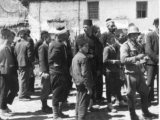 Εχίνος Γερμανοί